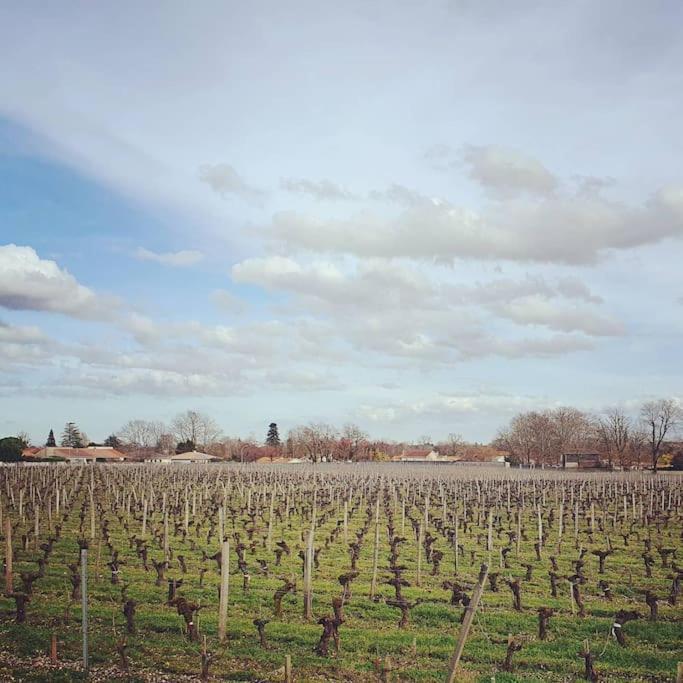 LéognanLe Clos Langella别墅 外观 照片